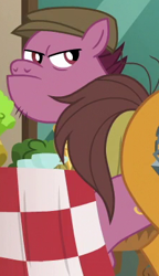 Size: 225x390 | Tagged: safe, screencap, species:earth pony, species:pony, episode:the gift of the maud pie, g4, my little pony: friendship is magic, background pony, clothing, hat, male, solo focus, stallion, unnamed pony