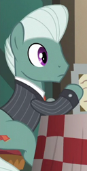 Size: 205x400 | Tagged: safe, screencap, species:earth pony, species:pony, episode:the gift of the maud pie, g4, my little pony: friendship is magic, background pony, clothing, male, sitting, solo, stallion, suit, unnamed pony