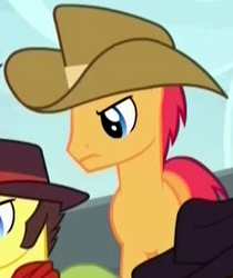 Size: 252x300 | Tagged: safe, screencap, character:bandana baldwin, character:high stakes, species:earth pony, species:pony, episode:appleoosa's most wanted, g4, my little pony: friendship is magic, angry, appleloosa resident, background pony, clothing, cowboy hat, cropped, hat, male, solo focus, stallion, unnamed pony