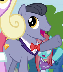 Size: 540x620 | Tagged: safe, screencap, character:diamond cutter, species:pony, episode:trade ya, g4, my little pony: friendship is magic, background pony