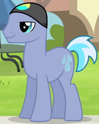 Size: 381x478 | Tagged: safe, screencap, species:earth pony, species:pony, episode:leap of faith, g4, my little pony: friendship is magic, background pony, clothing, hat, male, solo, stallion, swimming cap, unnamed pony