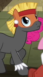 Size: 254x455 | Tagged: safe, screencap, character:pinkie pie, species:earth pony, species:pony, episode:daring don't, g4, my little pony: friendship is magic, aztec, background pony, bodypaint, cropped, looking up, male, solo focus, stallion, unnamed pony