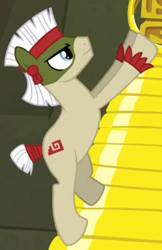 Size: 210x324 | Tagged: safe, screencap, species:earth pony, species:pony, episode:daring don't, g4, my little pony: friendship is magic, aztec, background pony, bodypaint, cropped, male, rings of scorchero, solo, stallion, unnamed pony