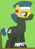 Size: 136x190 | Tagged: safe, screencap, species:earth pony, species:pony, episode:daring don't, g4, my little pony: friendship is magic, aztec, background pony, bodypaint, male, picture for breezies, solo, stallion, unnamed pony
