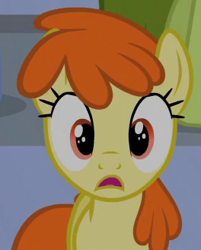 Size: 264x328 | Tagged: safe, screencap, character:oakey doke, character:pumpkin snap, species:earth pony, species:pony, episode:equestria games, g4, my little pony: friendship is magic, background pony, cropped, female, mare, unnamed pony