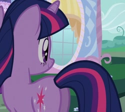Size: 690x618 | Tagged: safe, screencap, character:twilight sparkle, character:twilight sparkle (unicorn), species:pony, species:unicorn, episode:suited for success, g4, my little pony: friendship is magic, butt, cropped, female, mare, plot, solo, twibutt