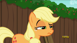 Size: 1920x1080 | Tagged: safe, screencap, character:applejack, species:pony, episode:the cart before the ponies, g4, my little pony: friendship is magic, frown, raised eyebrow, unconvinced applejack