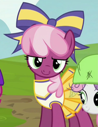 Size: 803x1048 | Tagged: safe, screencap, character:cheerilee, character:sweetie belle, species:pony, episode:the cart before the ponies, g4, my little pony: friendship is magic, cheerileeder, cheerleader, lidded eyes