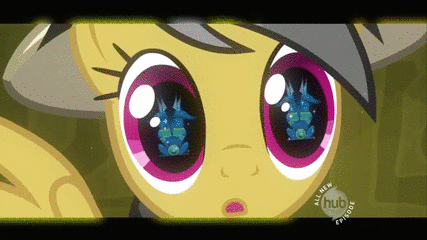 Size: 427x240 | Tagged: safe, screencap, character:daring do, character:rainbow dash, episode:read it and weep, g4, my little pony: friendship is magic, animated, duo, eye reflection, hub logo, lip bite, reflection, scene transition, transition