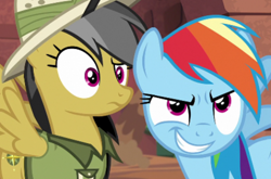 Size: 478x315 | Tagged: safe, screencap, character:daring do, character:rainbow dash, species:pony, confused, smiling, smirk, teeth, wtf