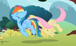 Size: 344x211 | Tagged: safe, screencap, character:fluttershy, character:rainbow dash, species:duck, species:pegasus, species:pony, episode:may the best pet win, g4, my little pony: friendship is magic, duckling, duo, female, flying, mare, out of context