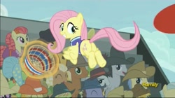 Size: 1279x716 | Tagged: safe, screencap, character:apple munchies, character:fluttershy, character:goldengrape, character:jonagold, character:lucky clover, character:meadow song, species:pony, episode:buckball season, g4, my little pony: friendship is magic, apple family member, female, mare, plot