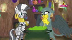Size: 1279x714 | Tagged: safe, screencap, character:gabby, character:zecora, species:griffon, species:zebra, episode:the fault in our cutie marks, g4, my little pony: friendship is magic, cauldron, minimini, zecora's hut
