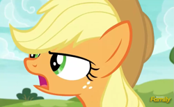 Size: 845x522 | Tagged: safe, screencap, character:applejack, species:pony, episode:buckball season, g4, my little pony: friendship is magic, clothing, discovery family logo, hat, solo