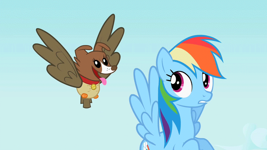 Size: 853x480 | Tagged: safe, screencap, character:angel bunny, character:gummy, character:owlowiscious, character:rainbow dash, character:winona, episode:may the best pet win, g4, my little pony: friendship is magic, allpet, animated