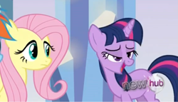 Size: 1137x651 | Tagged: safe, screencap, character:fluttershy, character:twilight sparkle, species:pony, episode:games ponies play, g4, my little pony: friendship is magic, drunk twilight, expressions, faec, hub logo