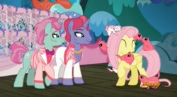 Size: 1661x910 | Tagged: safe, screencap, character:fluttershy, species:pony, episode:viva las pegasus, g4, my little pony: friendship is magic, prairie dog, siegfried and roy, the flying prairinos