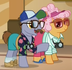 Size: 451x441 | Tagged: safe, screencap, character:butterscotch sweets, character:country mile, species:pony, episode:viva las pegasus, g4, my little pony: friendship is magic, background pony, baseball cap, camera, clothing, glasses, hat, hawaiian shirt, sandals, shirt, shoes, shorts, socks, tourist, visor