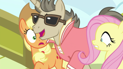 Size: 1920x1080 | Tagged: safe, screencap, character:applejack, character:fluttershy, character:steeplechase, species:pony, episode:viva las pegasus, g4, my little pony: friendship is magic, popped collar