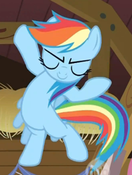 Size: 293x389 | Tagged: safe, screencap, character:rainbow dash, flying, swag
