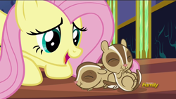 Size: 1280x720 | Tagged: safe, screencap, character:fluttershy, species:pegasus, species:pony, episode:every little thing she does, g4, my little pony: friendship is magic, chipmunk, cute, discovery family logo, female, mare, open mouth, shyabetes, smiling