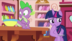 Size: 1280x738 | Tagged: safe, screencap, character:spike, character:twilight sparkle, character:twilight sparkle (alicorn), species:alicorn, species:pony, episode:p.p.o.v. (pony point of view), g4, my little pony: friendship is magic, discovery family logo