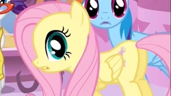 Size: 513x290 | Tagged: safe, screencap, character:fluttershy, character:rainbow dash, character:rarity, species:pony, episode:suited for success, g4, my little pony: friendship is magic, cropped, female, mare, plot