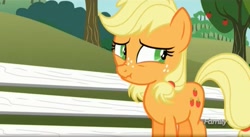 Size: 1665x911 | Tagged: safe, screencap, character:applejack, species:earth pony, species:pony, episode:where the apple lies, g4, my little pony: friendship is magic, cute, female, filly, jackabetes, liar face, liarjack, scrunchy face, solo, teenage applejack, wavy mouth