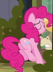 Size: 386x515 | Tagged: safe, screencap, character:cranky doodle donkey, character:pinkie pie, species:donkey, species:pony, episode:a friend in deed, g4, my little pony: friendship is magic, cropped, female, mare, out of context, plot, solo focus