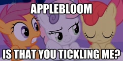 Size: 624x311 | Tagged: safe, screencap, character:apple bloom, character:scootaloo, character:sweetie belle, species:pegasus, species:pony, episode:stare master, g4, my little pony: friendship is magic, caption, cutie mark crusaders