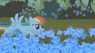 Size: 400x225 | Tagged: safe, screencap, character:rainbow dash, episode:bridle gossip, g4, my little pony: friendship is magic, animated, everfree forest, flower, forest, poison joke, poison joke field