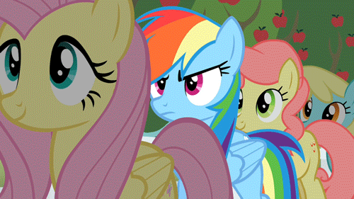 Size: 500x281 | Tagged: safe, screencap, character:fluttershy, character:gala appleby, character:pink lady, character:rainbow dash, character:sassaflash, episode:the super speedy cider squeezy 6000, g4, my little pony: friendship is magic, animated, apple family member