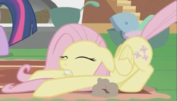Size: 525x300 | Tagged: safe, screencap, character:fluttershy, out of context, presenting