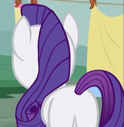 Size: 505x517 | Tagged: safe, screencap, character:rarity, species:pony, species:unicorn, episode:sisterhooves social, g4, my little pony: friendship is magic, cropped, featureless crotch, female, mare, plot, rear view, solo