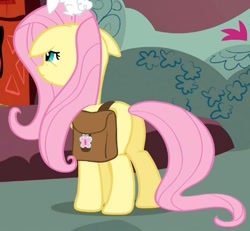 Size: 470x434 | Tagged: safe, screencap, character:fluttershy, species:pony, episode:just for sidekicks, g4, my little pony: friendship is magic, cropped, female, floppy ears, mare, plot, saddle bag