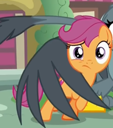 Size: 255x289 | Tagged: safe, screencap, character:gabby, character:scootaloo, species:griffon, species:pegasus, species:pony, episode:the fault in our cutie marks, g4, my little pony: friendship is magic, aside glance, confused, cropped, cute, cutie mark, hug, the cmc's cutie marks, winghug