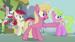 Size: 1920x1080 | Tagged: safe, screencap, character:daisy, character:lily, character:lily valley, character:roseluck, species:pony, episode:slice of life, g4, my little pony: friendship is magic, female, flower trio, pointing, trio, trio female