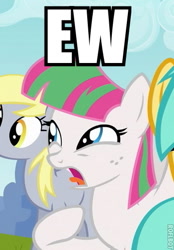 Size: 347x500 | Tagged: safe, screencap, character:blossomforth, character:derpy hooves, character:sunshower raindrops, species:pegasus, species:pony, episode:hurricane fluttershy, g4, my little pony: friendship is magic, background pony, caption, cropped, female, mare, reaction image, roflbot, solo focus