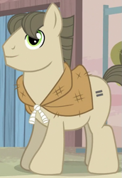 Size: 379x551 | Tagged: safe, screencap, species:earth pony, species:pony, episode:the cutie map, g4, my little pony: friendship is magic, background pony, burlap, equal cutie mark, male, shopkeeper, solo, stallion, tailor made