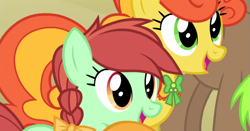 Size: 749x393 | Tagged: safe, screencap, character:candy apples, species:pony, episode:filli vanilli, g4, my little pony: friendship is magic, apple family member, honey dew