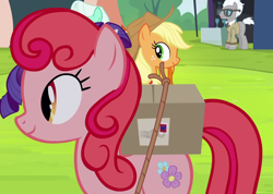 Size: 1054x750 | Tagged: safe, screencap, character:applejack, species:pony, episode:trade ya, g4, my little pony: friendship is magic, background pony, covalent bond, cropped, female, male, mare, package, posey petals, rope, smiling, solo focus, stallion