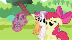 Size: 1023x574 | Tagged: safe, screencap, character:apple bloom, character:scootaloo, character:smarty pants, character:sweetie belle, species:pegasus, species:pony, episode:lesson zero, g4, my little pony: friendship is magic, cutie mark crusaders, lidded eyes, out of context, varying degrees of want