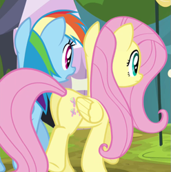 Size: 555x560 | Tagged: safe, screencap, character:fluttershy, character:rainbow dash, species:pony, episode:trade ya, g4, my little pony: friendship is magic, cropped, female, mare, plot