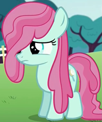 Size: 625x750 | Tagged: safe, screencap, character:bubblegum brush, species:earth pony, species:pony, episode:crusaders of the lost mark, g4, my little pony: friendship is magic, cropped, female, filly, foal, hair extensions, long mane, solo