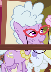 Size: 565x795 | Tagged: safe, screencap, character:chelsea porcelain, character:mr. waddle, character:pearly stitch, species:earth pony, species:pony, episode:the mysterious mare do well, g4, my little pony: friendship is magic, background pony, cropped, elderly, female, glasses, jewelry, liver spots, mare, necklace, pearl necklace, solo focus