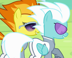 Size: 589x478 | Tagged: safe, screencap, character:fleetfoot, character:spitfire, species:pony, episode:rainbow falls, g4, my little pony: friendship is magic, cropped, female, mare, plot, sunglasses, warmup suit
