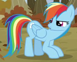 Size: 470x380 | Tagged: safe, screencap, character:rainbow dash, species:pony, episode:tanks for the memories, g4, my little pony: friendship is magic, cropped, crouching, duckface, rainbow dash is not amused, solo, unamused
