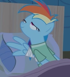 Size: 348x381 | Tagged: safe, screencap, character:rainbow dash, species:pegasus, species:pony, episode:read it and weep, g4, my little pony: friendship is magic, bandage, bandaged wing, cropped, out of context, solo