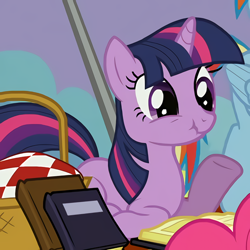 Size: 586x586 | Tagged: safe, screencap, character:pinkie pie, character:rainbow dash, character:twilight sparkle, species:pony, species:unicorn, episode:wonderbolts academy, basket, book, cropped, female, frown, mare, picnic, picnic basket, ponyloaf, prone, raised hoof, scrunchy face, shrug, solo focus