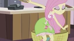 Size: 1100x618 | Tagged: safe, screencap, character:fluttershy, episode:hamstocalypse now, g4, my little pony:equestria girls, musical instrument, solo, tambourine